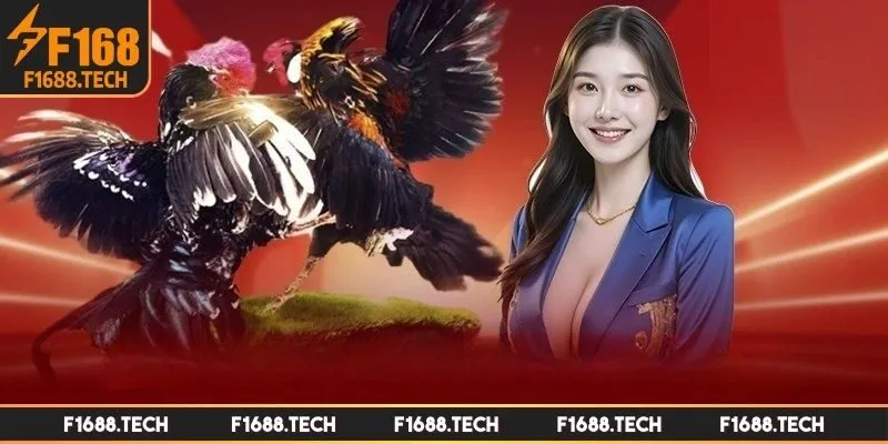 Đôi nét về cách bắt kèo đá gà tại F168